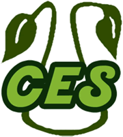 Cutting Edge Solutions Logo